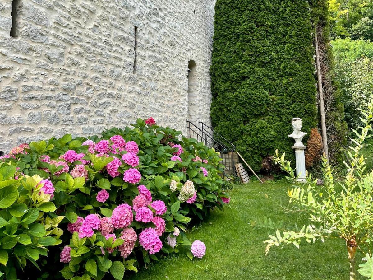 مبيت وإفطار Villersexel Manoir Saint-Pierre المظهر الخارجي الصورة