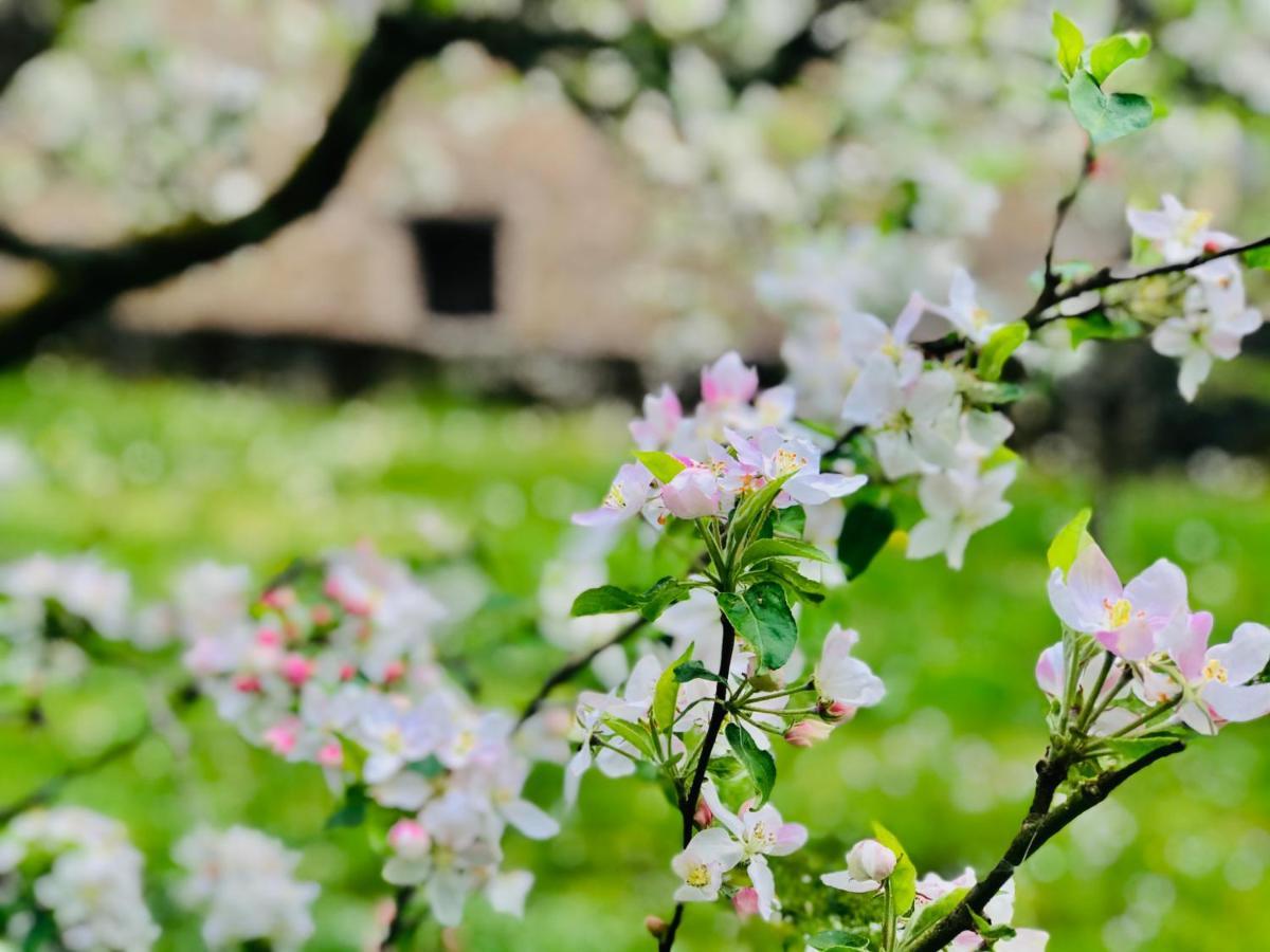 مبيت وإفطار Villersexel Manoir Saint-Pierre المظهر الخارجي الصورة