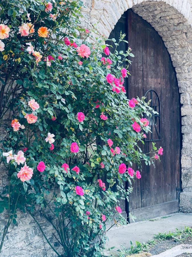 مبيت وإفطار Villersexel Manoir Saint-Pierre المظهر الخارجي الصورة